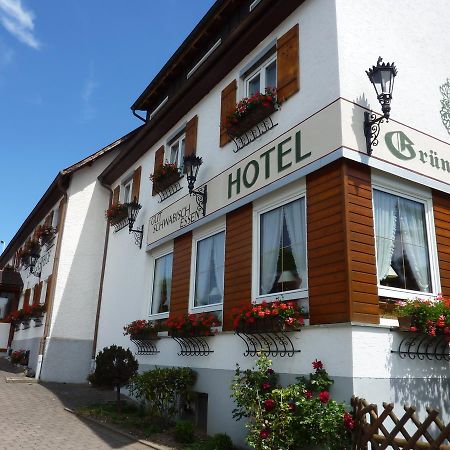 Hotel Landgasthof Gruner Baum Hochdorf  エクステリア 写真