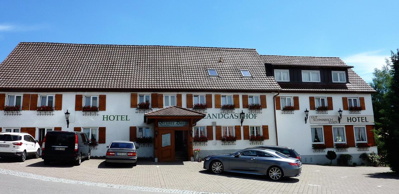 Hotel Landgasthof Gruner Baum Hochdorf  エクステリア 写真