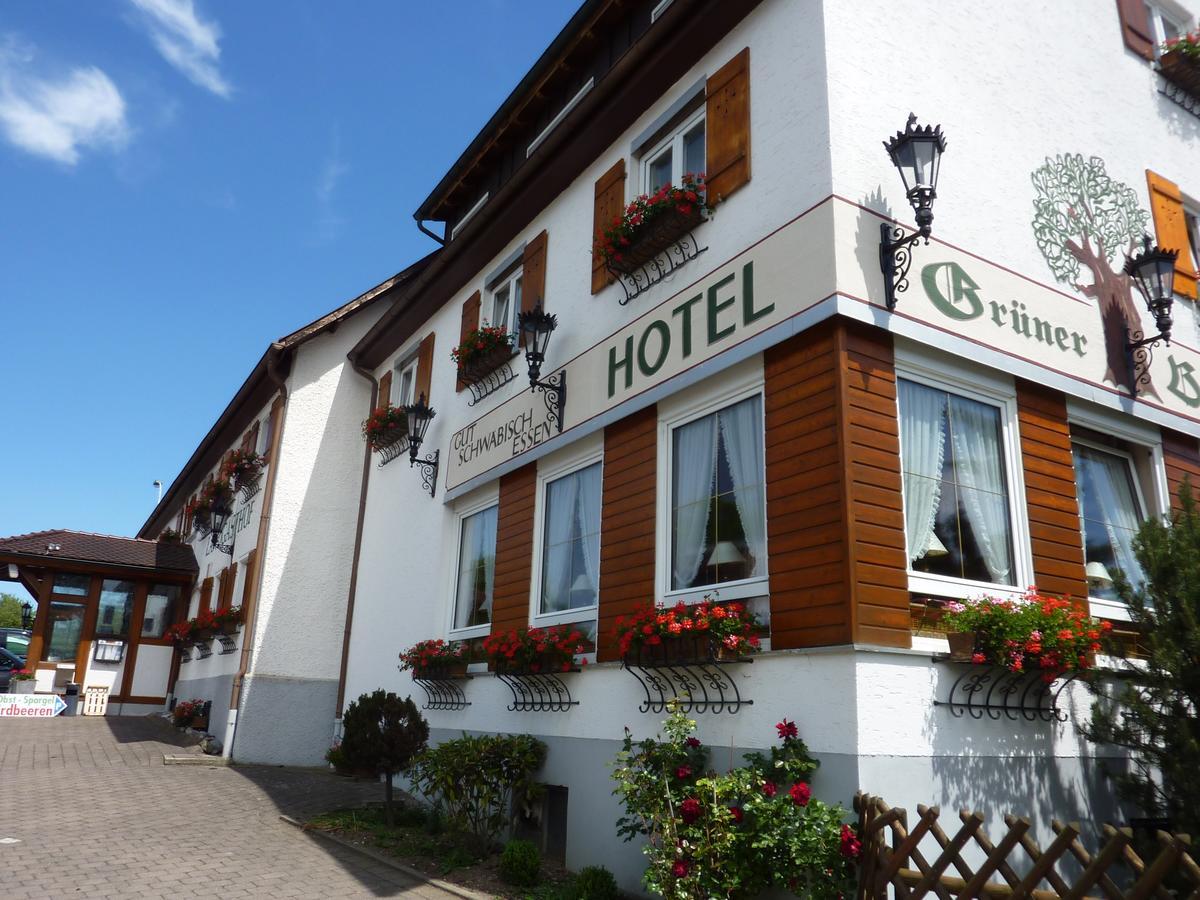 Hotel Landgasthof Gruner Baum Hochdorf  エクステリア 写真